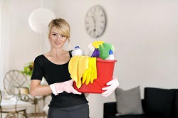 Profitable House Cleaning Service in TW1
