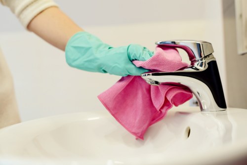 Professional upholstery cleaning a living room sofa