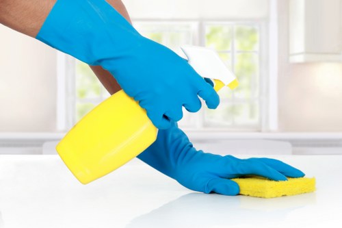 Professional end of tenancy cleaning in a kitchen