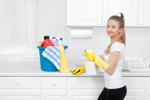 Kitchen and bathroom cleaning essentials for domestic cleaning