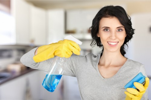 Professional domestic cleaning setup in a modern living room