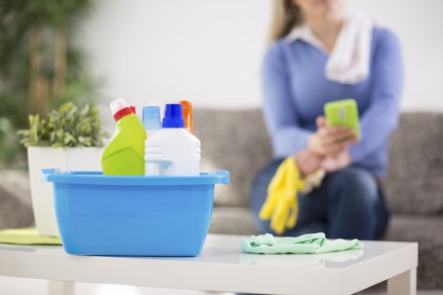 Professional oven cleaning process for a spotless kitchen appliance