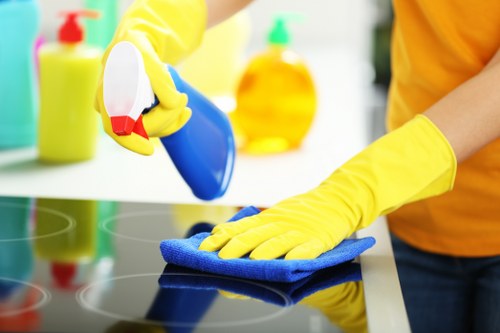 Deep rug cleaning equipment being used on a floor rug