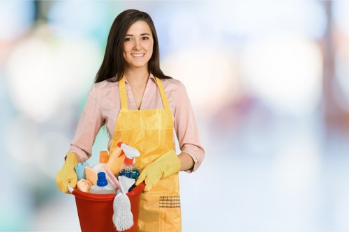 Weekly domestic cleaning routine checklist in a home