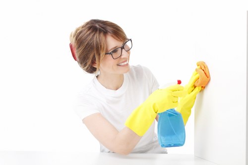 Interior and exterior window cleaning tools and techniques