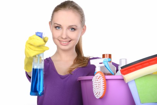 DIY oven cleaning supplies including baking soda, vinegar, and cloths