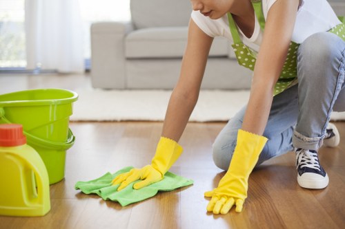 Seasonal deep cleaning checklist and organized cleaning supplies
