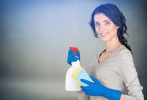 Bathroom sanitizing during move in cleaning